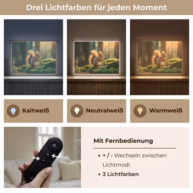 Eekhoorn - Nootje - Gras Light Box met batterij (Wandlamp) middel -USP_lichtkleurDE