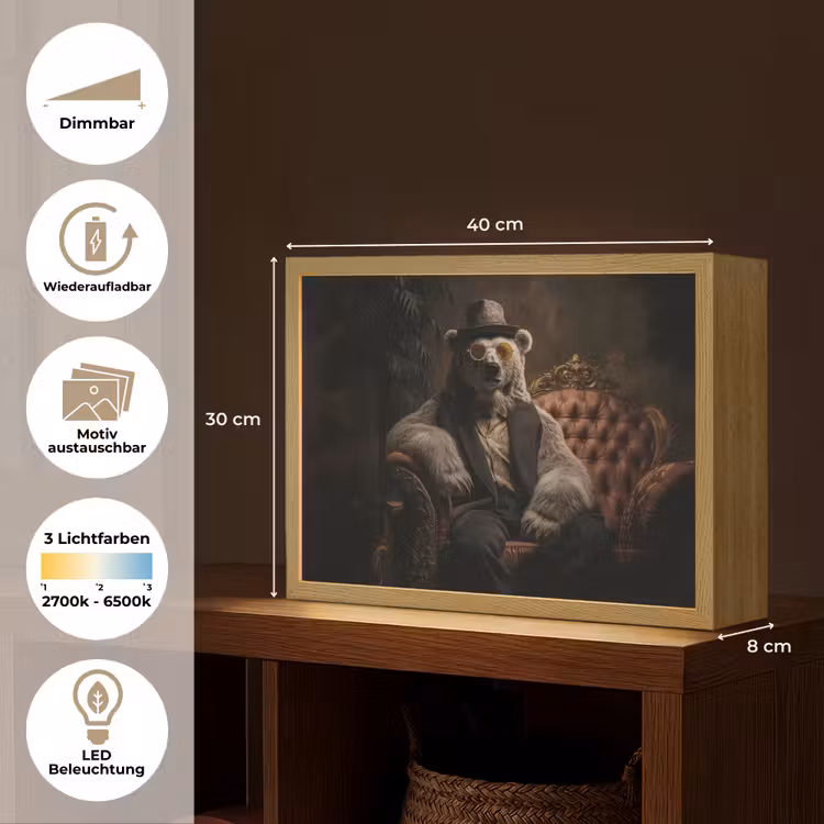 Ijsbeer - Hoed - Bril - Stoel Light Box met batterij (Wandlamp) middel -USP_websiteoverzichtDE