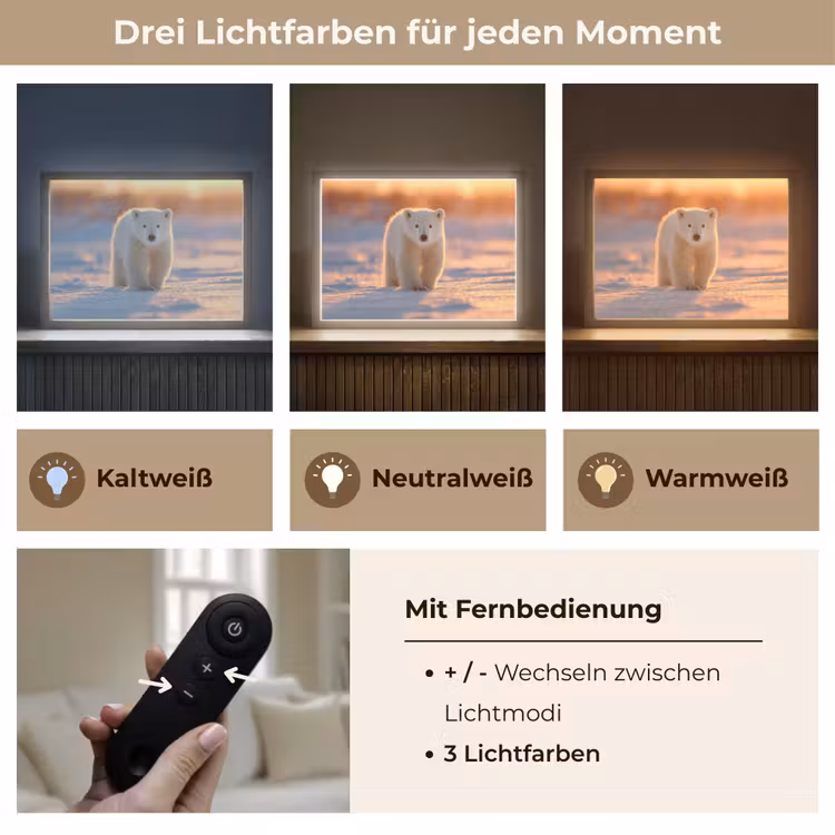 Ijsbeer - Sneeuw - Zonsopgang Light Box met batterij (Wandlamp) middel -USP_lichtkleurDE