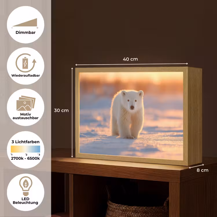 Ijsbeer - Sneeuw - Zonsopgang Light Box met batterij (Wandlamp) middel -USP_websiteoverzichtDE