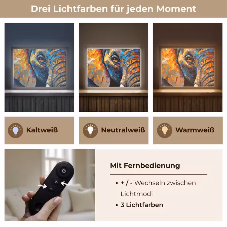 Olifant - Kunst - Dieren Light Box met batterij (Wandlamp) middel -USP_lichtkleurDE