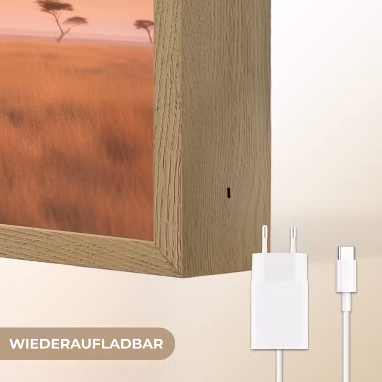 Groep olifanten - Open vlakte - Zon Light Box met batterij (Wandlamp) middel -USP_websiteoplaadbaarDE