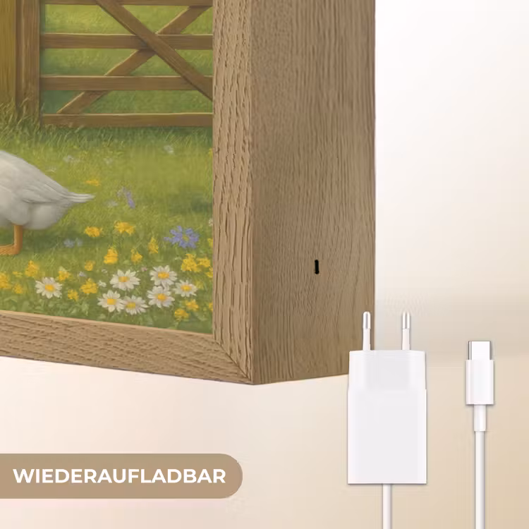 Ezels - Ganzen - Kleurrijk Light Box met batterij (Wandlamp) middel -USP_websiteoplaadbaarDE