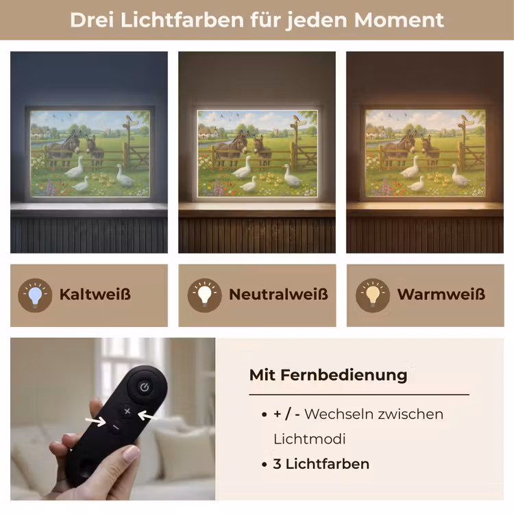 Ezels - Ganzen - Kleurrijk Light Box met batterij (Wandlamp) middel -USP_lichtkleurDE