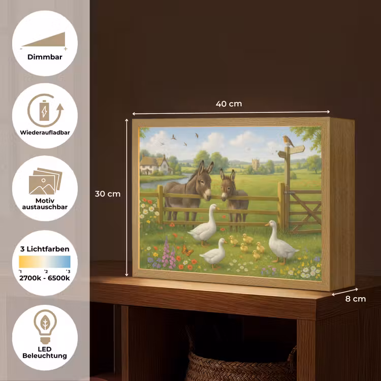 Ezels - Ganzen - Kleurrijk Light Box met batterij (Wandlamp) middel -USP_websiteoverzichtDE
