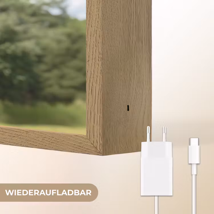 Uil - Boomstronk - Bos - Lucht Light Box met batterij (Wandlamp) middel -USP_websiteoplaadbaarDE
