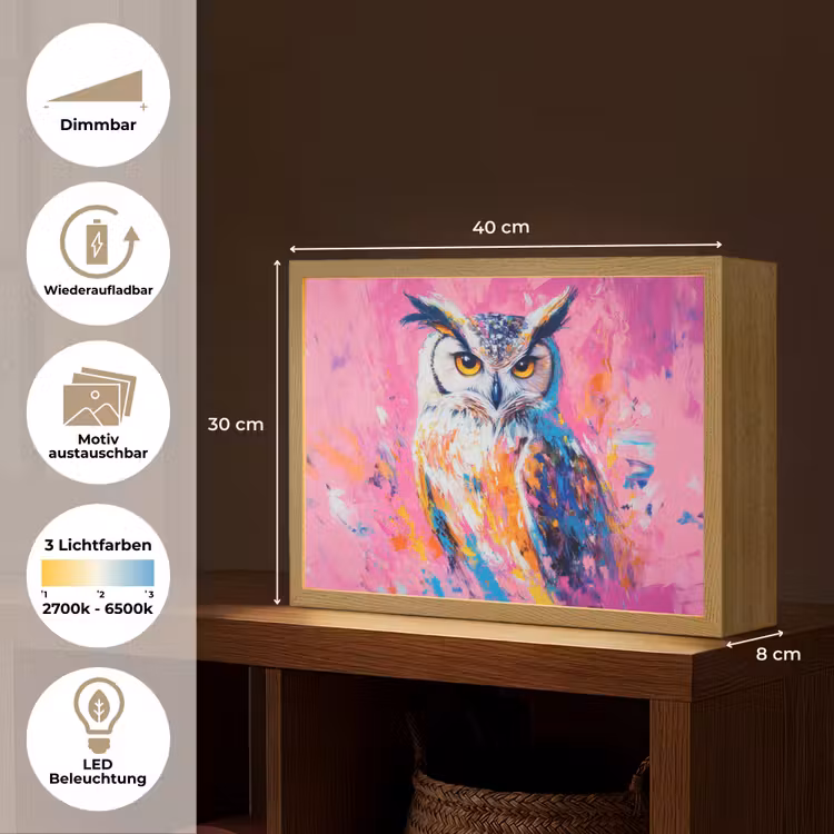 Uil - Roze - Blauw - Verf - Abstract Light Box met batterij (Wandlamp) middel -USP_websiteoverzichtDE