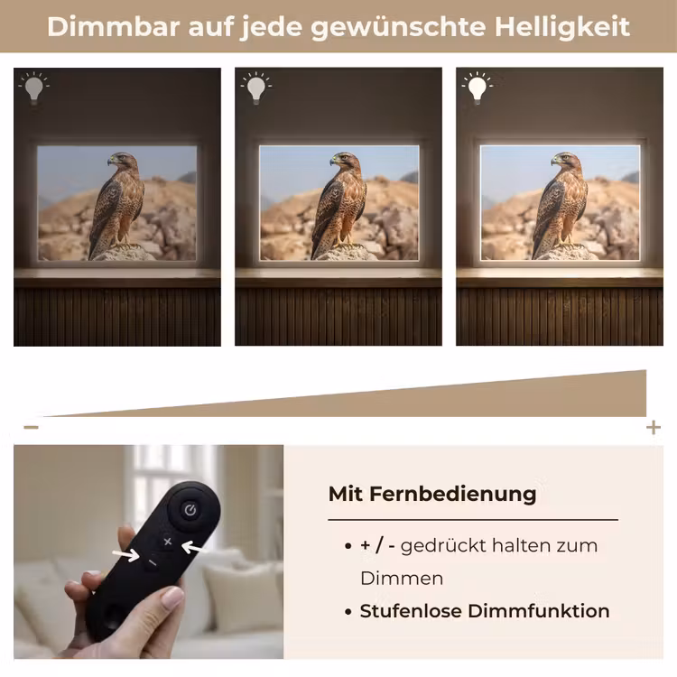 Valk - Vogel - Rots - Macht Light Box met batterij (Wandlamp) middel -USP_dimbaarDE