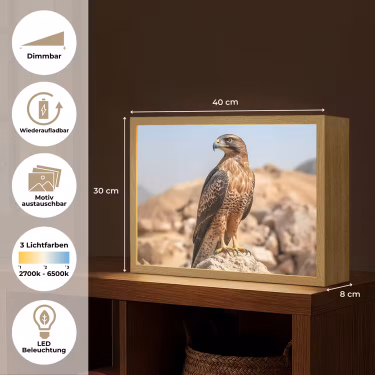 Valk - Vogel - Rots - Macht Light Box met batterij (Wandlamp) middel -USP_websiteoverzichtDE