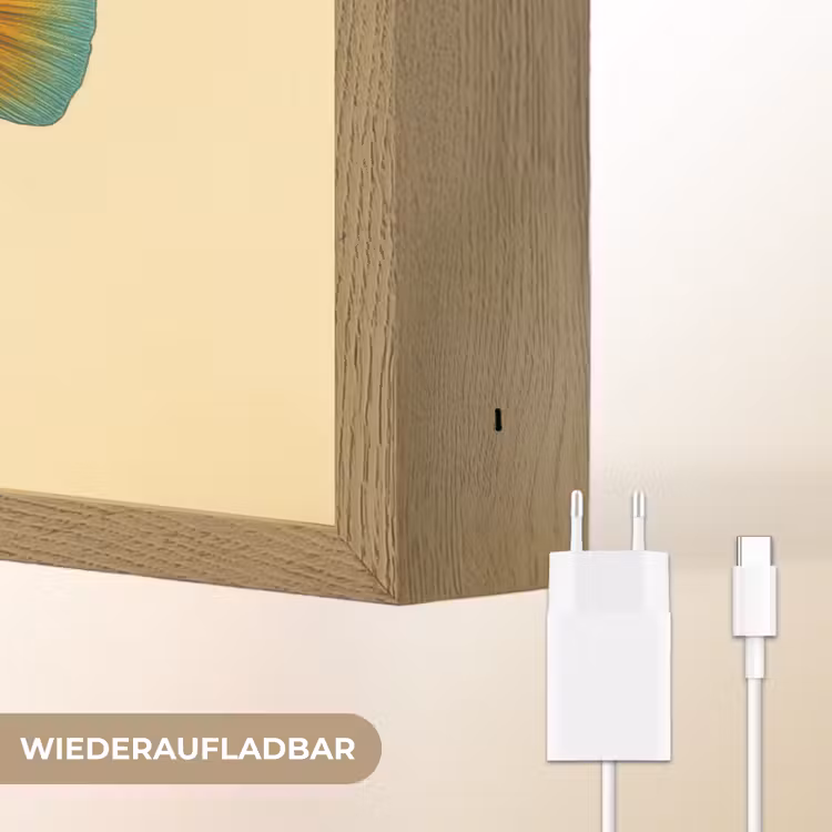 Vis - Blauw - Stippen - Schubben Light Box met batterij (Wandlamp) middel -USP_websiteoplaadbaarDE