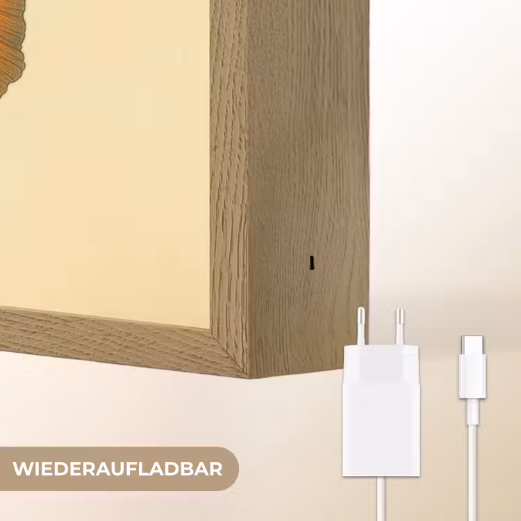 Vis - illustratie - Stippen - Oranje Light Box met batterij (Wandlamp) middel -USP_websiteoplaadbaarDE