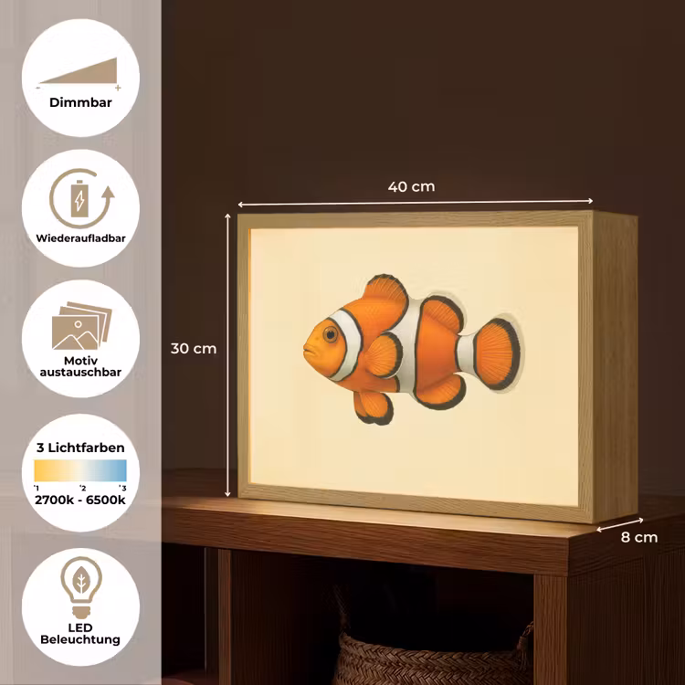 Vis - Oranje - Strepen Light Box met batterij (Wandlamp) middel -USP_websiteoverzichtDE