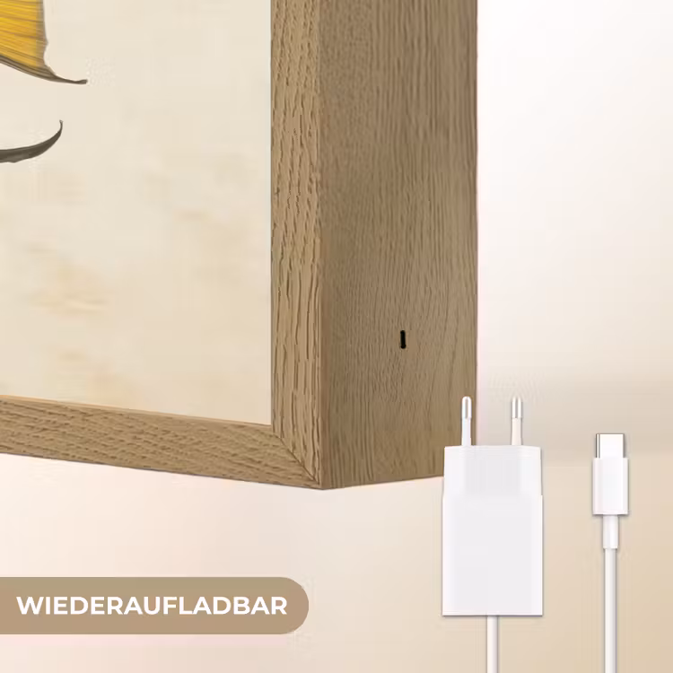 Vis - Sierlijk - Vinnen - Illustratie Light Box met batterij (Wandlamp) middel -USP_websiteoplaadbaarDE