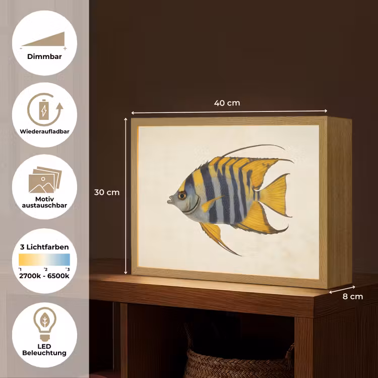 Vis - Sierlijk - Vinnen - Illustratie Light Box met batterij (Wandlamp) middel -USP_websiteoverzichtDE