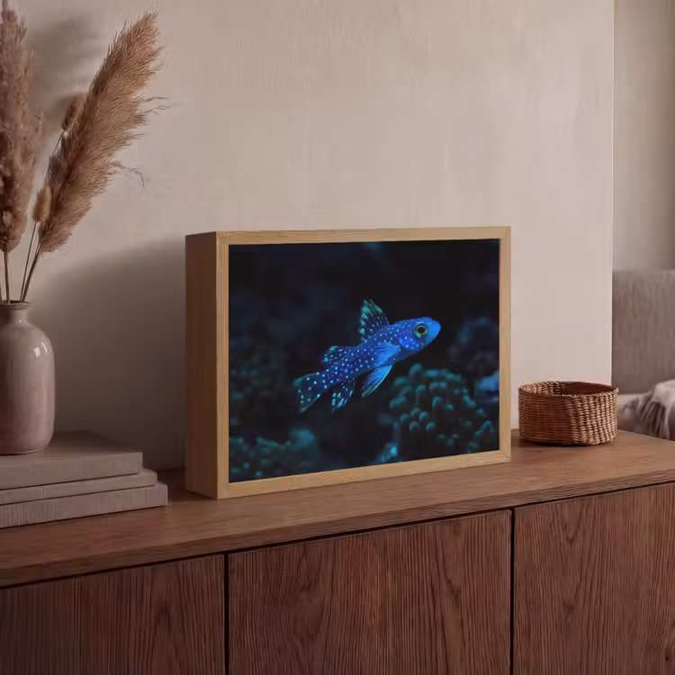 Vis - Stippen - Koraal - Blauw Light Box met batterij (Wandlamp) middel -sfeer2
