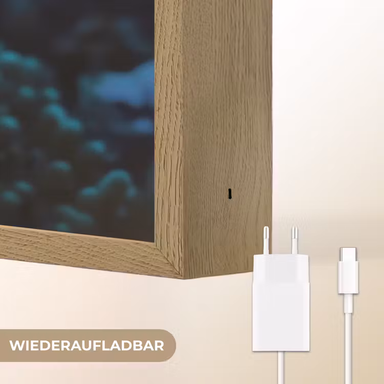 Vis - Stippen - Koraal - Blauw Light Box met batterij (Wandlamp) middel -USP_websiteoplaadbaarDE