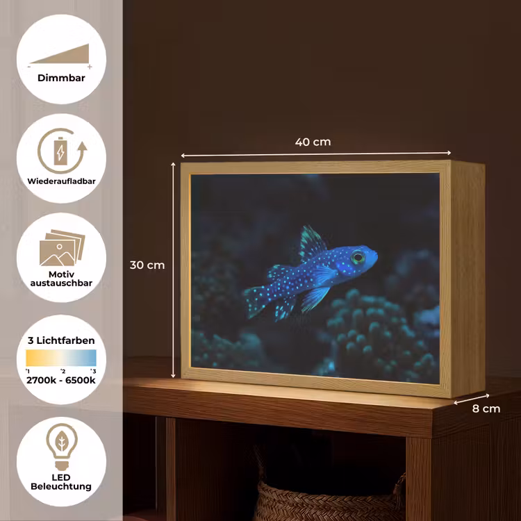 Vis - Stippen - Koraal - Blauw Light Box met batterij (Wandlamp) middel -USP_websiteoverzichtDE