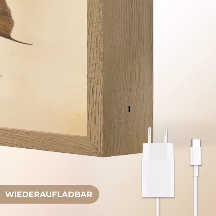 Vis - Tropisch - Strepen - Vinnen Light Box met batterij (Wandlamp) middel -USP_websiteoplaadbaarDE
