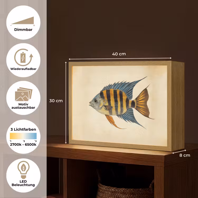Vis - Tropisch - Strepen - Vinnen Light Box met batterij (Wandlamp) middel -USP_websiteoverzichtDE