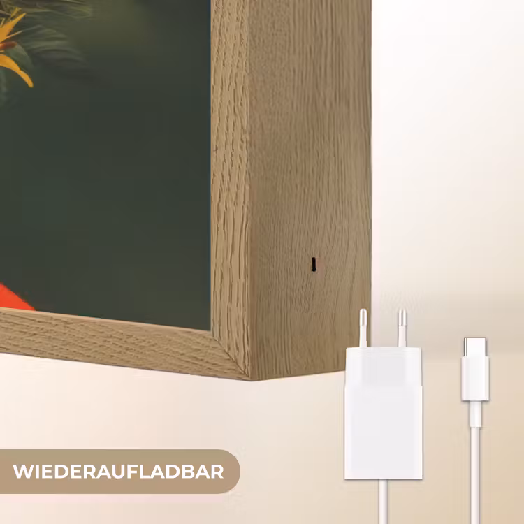 Vrouw - Vruchten - Papaja - Ananas Light Box met batterij (Wandlamp) middel -USP_websiteoplaadbaarDE