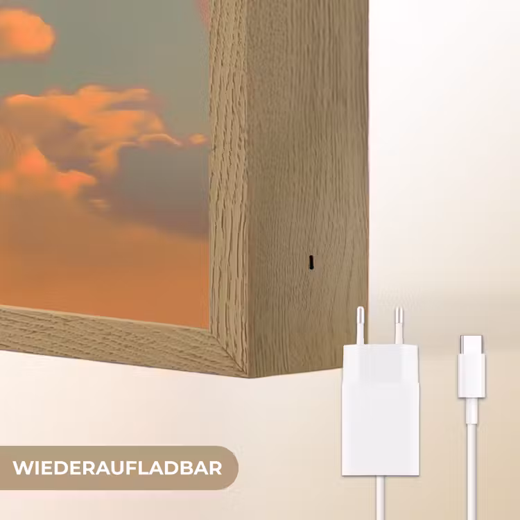 Vrouw - Kroon - Tomaat - Bascilicum - Zonnebril Light Box met batterij (Wandlamp) middel -USP_websiteoplaadbaarDE