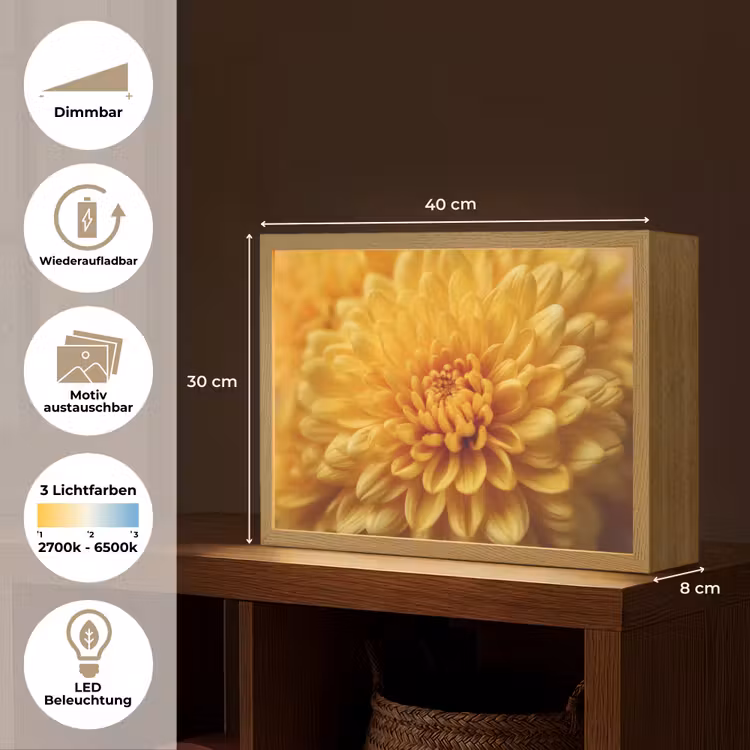 Geel - Chrysant - Zachtheid Light Box met batterij (Wandlamp) middel -USP_websiteoverzichtDE