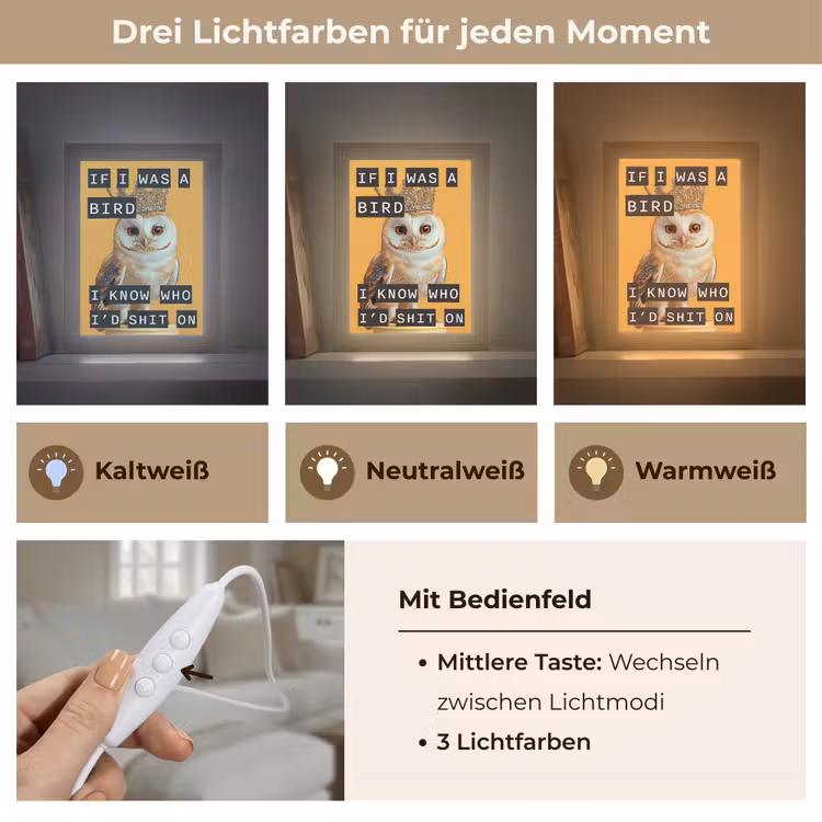 Geel - Uil - Vogel - Decoratie Light Box met kabel (Wandlamp) klein -USP_lichtkleurDE