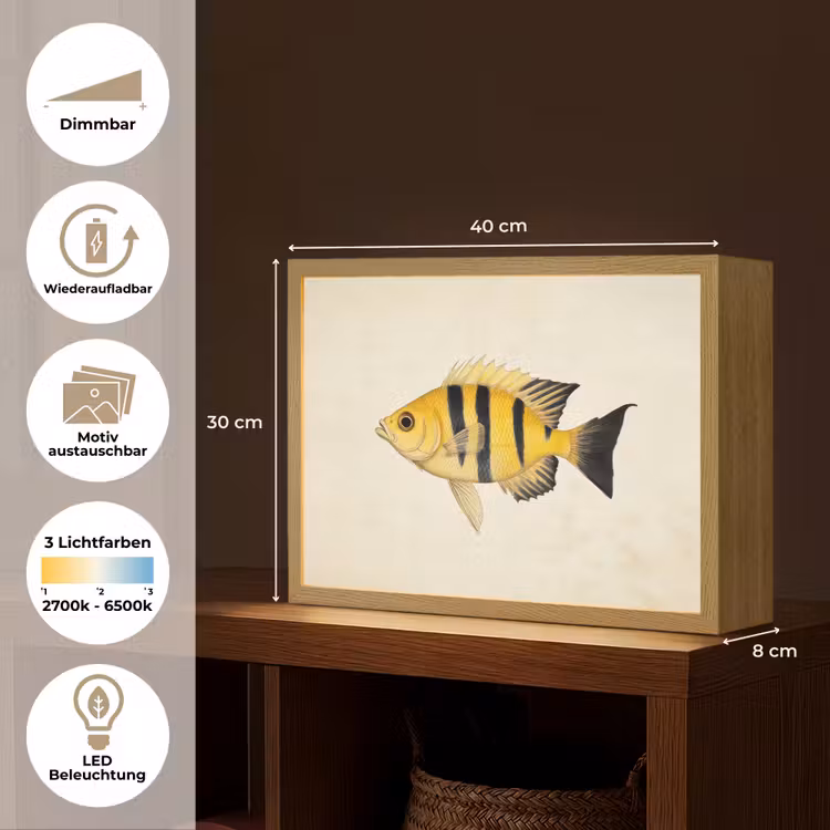 Geel - Vis - Strepen - Tropisch Light Box met batterij (Wandlamp) middel -USP_websiteoverzichtDE