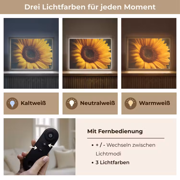 Geel - Zonnebloem - Zomers Light Box met batterij (Wandlamp) middel -USP_lichtkleurDE