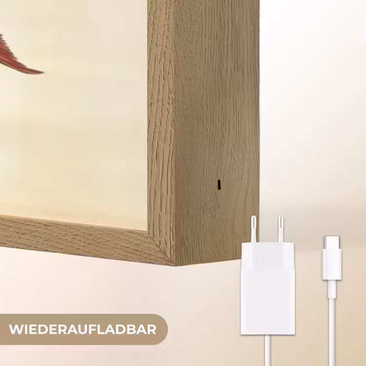 Gestreept - Donkerblauw - Rugvin - Vis Light Box met batterij (Wandlamp) middel -USP_websiteoplaadbaarDE