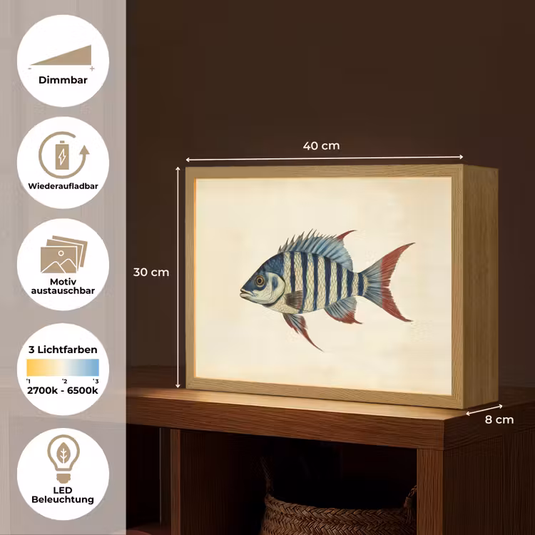 Gestreept - Donkerblauw - Rugvin - Vis Light Box met batterij (Wandlamp) middel -USP_websiteoverzichtDE