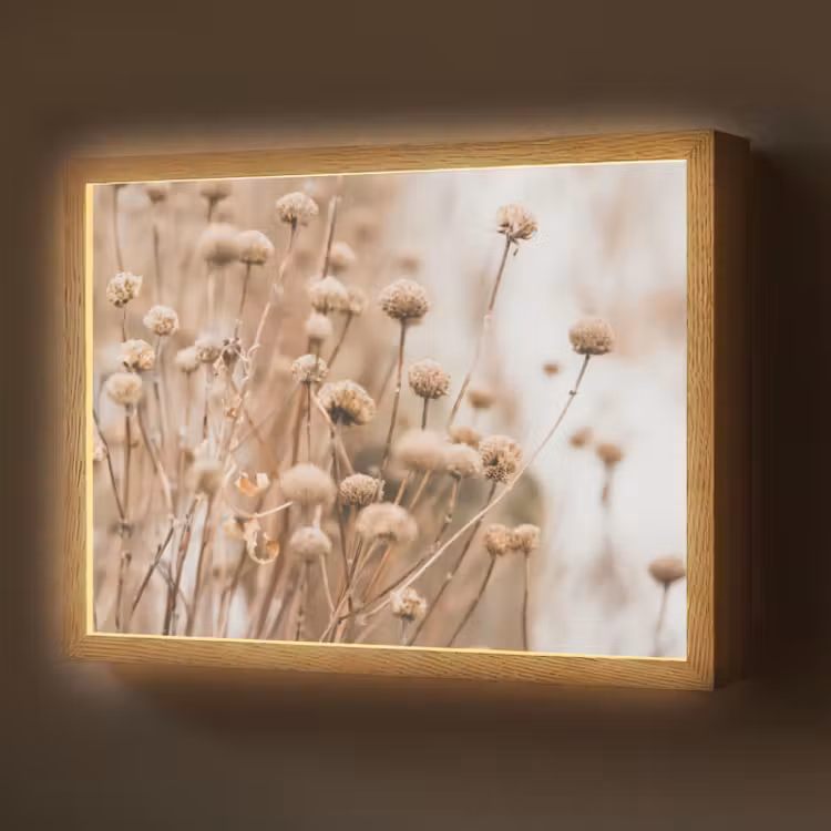 naturals-desenio-ferrari-ai-sfnoyeihvtbloacr-light-box-met-batterij-wandlamp-middel-z3d-website.jpg