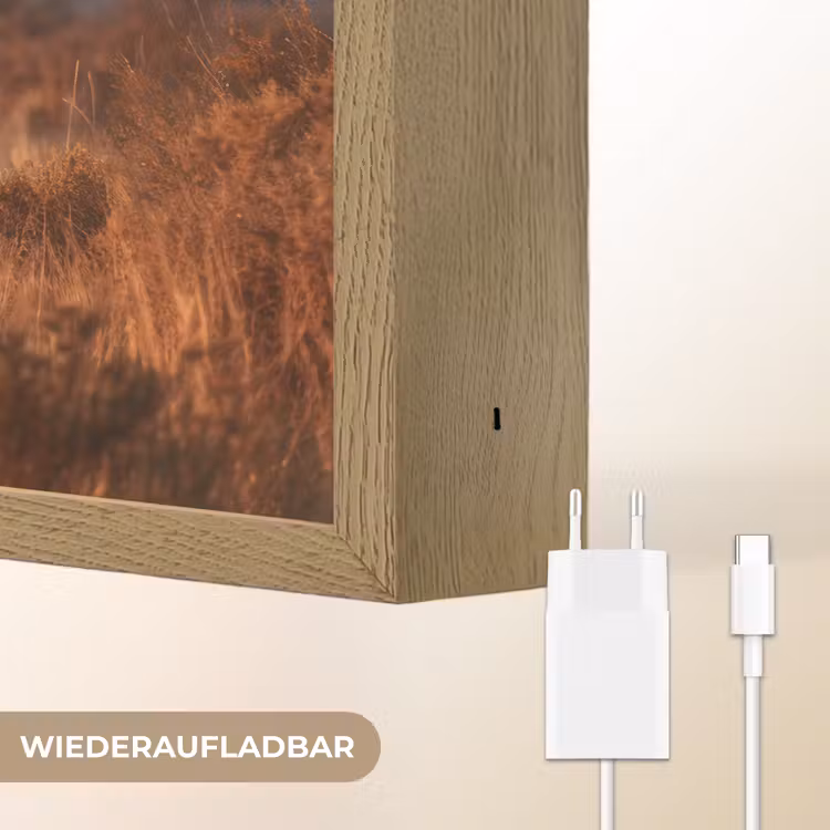 Giraffen - Hoog gras - Acaciabomen Light Box met batterij (Wandlamp) middel -USP_websiteoplaadbaarDE