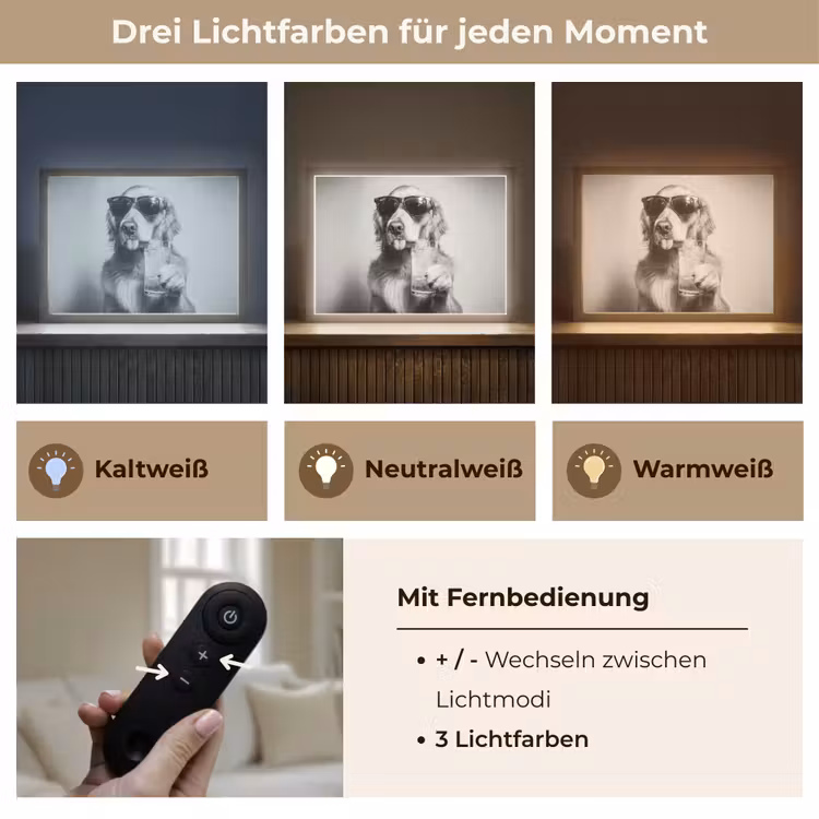 Golden retriever - Hond - Zonnebril - Gkas Light Box met batterij (Wandlamp) middel -USP_lichtkleurDE