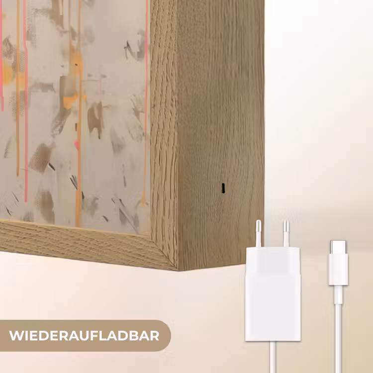 Graffiti - Panda - Ballon - Street art - Dier Light Box met batterij (Wandlamp) middel -USP_websiteoplaadbaarDE