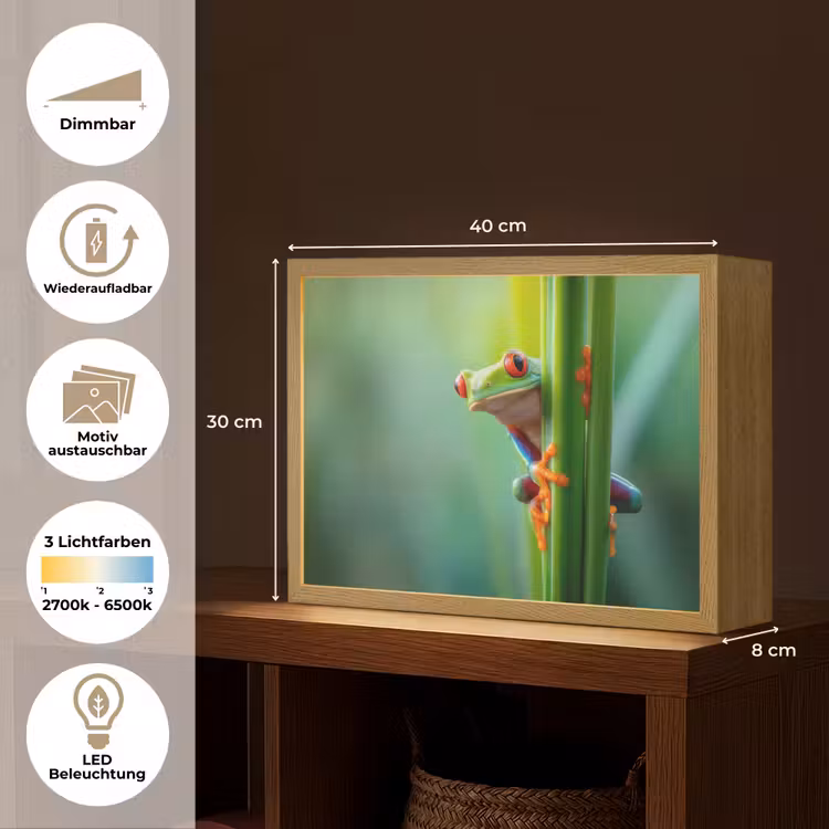 Groene kikker - Nieuwsgierig - Gras Light Box met batterij (Wandlamp) middel -USP_websiteoverzichtDE