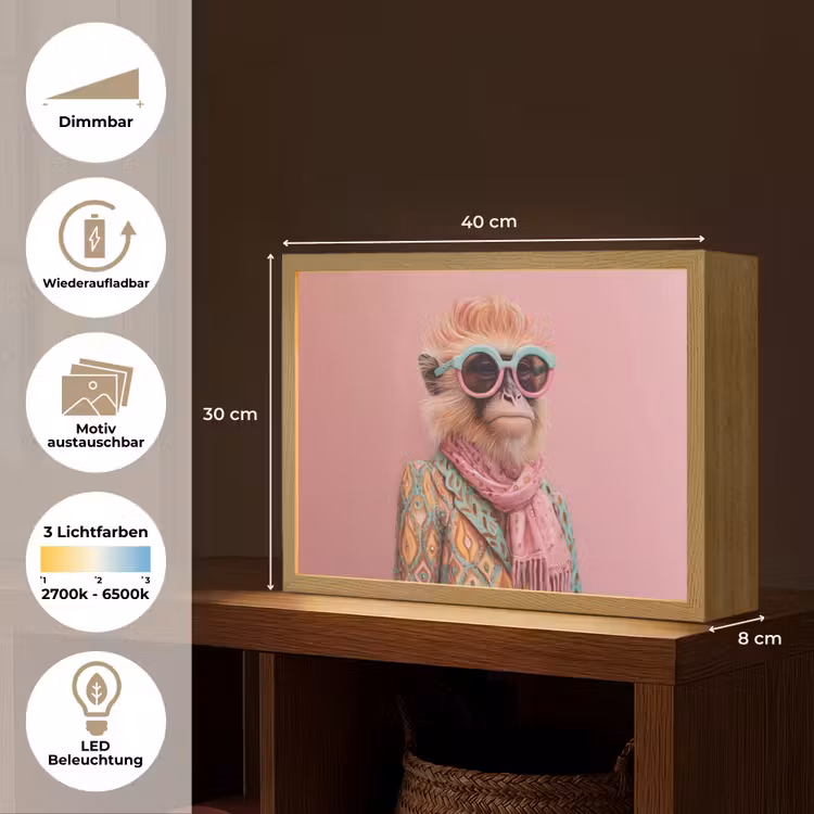 Sjaal - Aap - Zonnebril - Jasje Light Box met batterij (Wandlamp) middel -USP_websiteoverzichtDE
