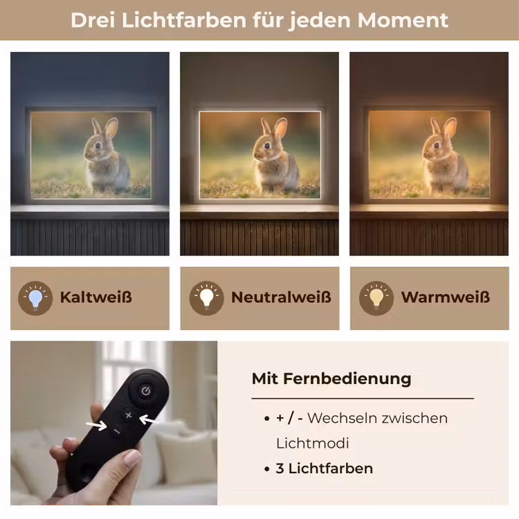 Konijntje - Bruin - Gras Light Box met batterij (Wandlamp) middel -USP_lichtkleurDE