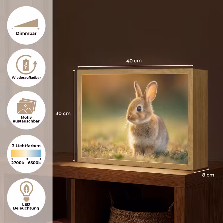Konijntje - Bruin - Gras Light Box met batterij (Wandlamp) middel -USP_websiteoverzichtDE