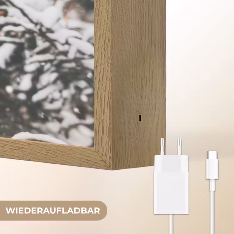 Hert - Sneeuw - Winter - Bos - Dieren Light Box met batterij (Wandlamp) middel -USP_websiteoplaadbaarDE