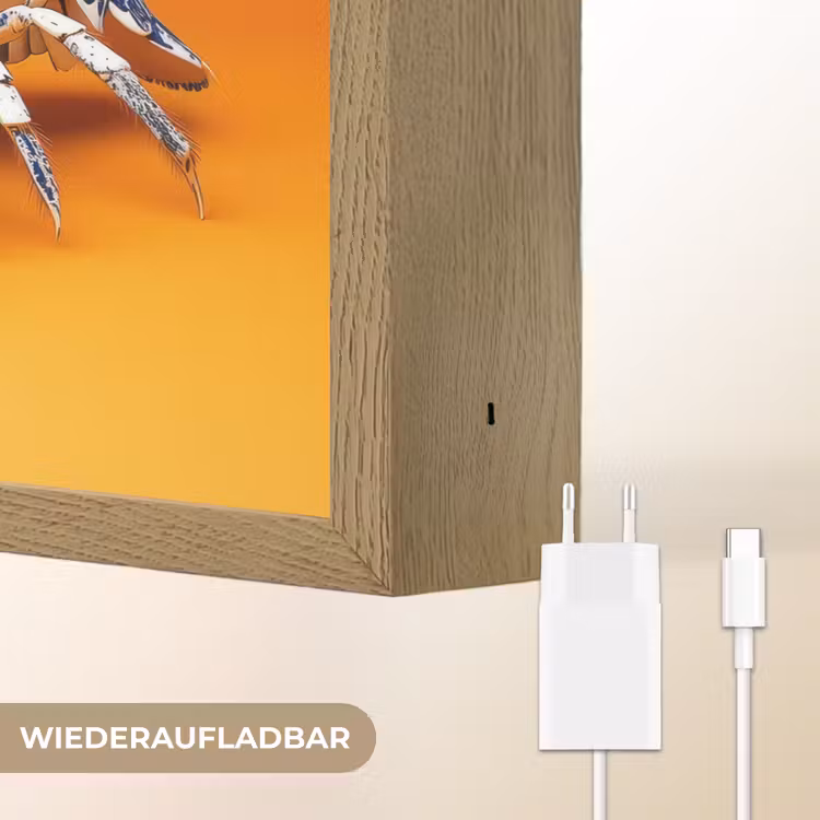Kreeft - Delftsblauw - Schild - Stoer - Oranje Light Box met batterij (Wandlamp) middel -USP_websiteoplaadbaarDE