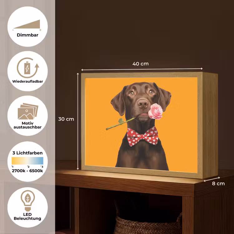 Hond - Oranje - Roos - Valentijn Light Box met batterij (Wandlamp) middel -USP_websiteoverzichtDE