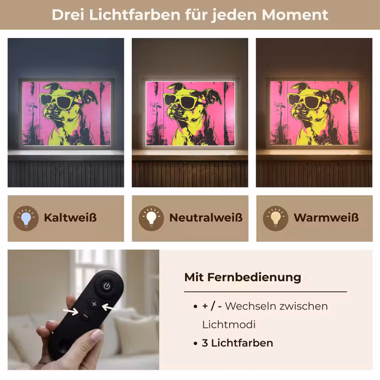 Hond - Zonnebril - Roze - Art Light Box met batterij (Wandlamp) middel -USP_lichtkleurDE