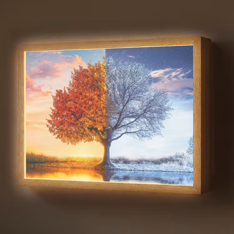 Seizoenen - Kunst - Boom - Herfst - Winter Light Box met batterij (Wandlamp) middel -z3d_website