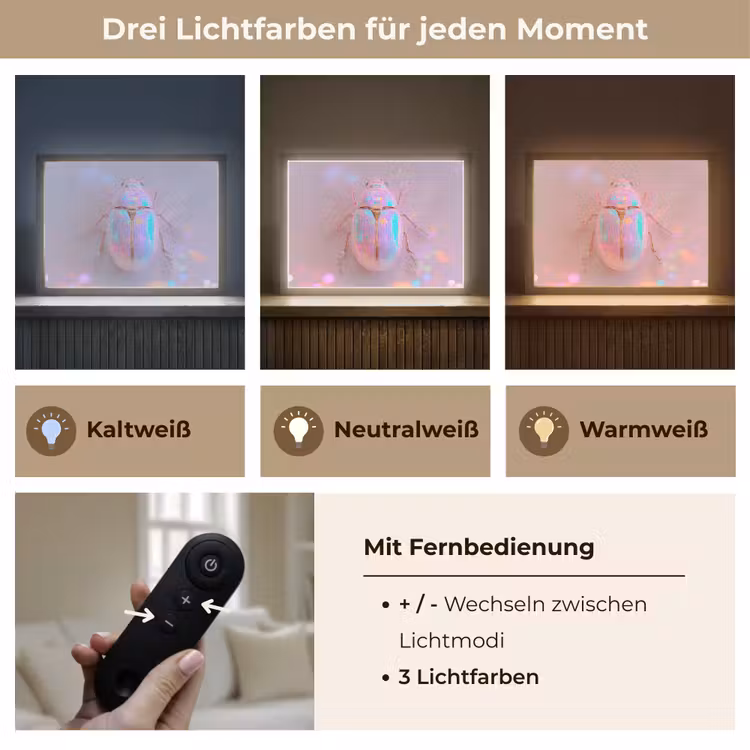 Kever - Metallic - Lichteffect - Roze Light Box met batterij (Wandlamp) middel -USP_lichtkleurDE