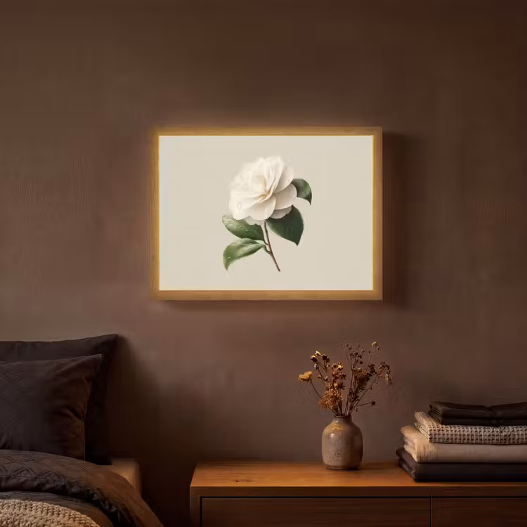 Cameliabloem - Wit - Groen Light Box met batterij (Wandlamp) middel -sfeer4