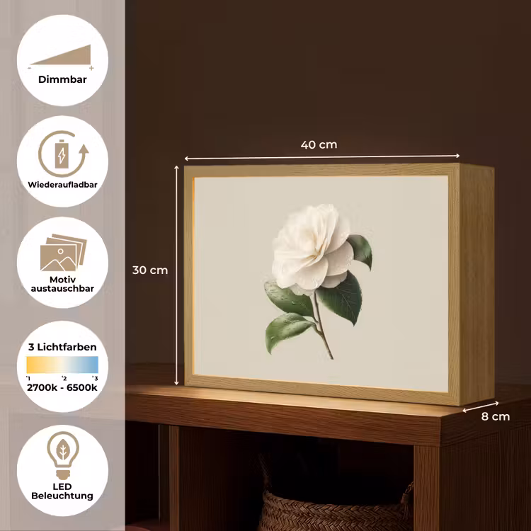 Cameliabloem - Wit - Groen Light Box met batterij (Wandlamp) middel -USP_websiteoverzichtDE
