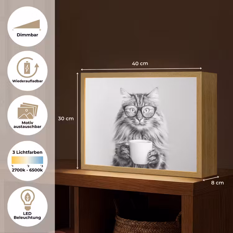 Kat - Bril - Mok - Pluizig Light Box met batterij (Wandlamp) middel -USP_websiteoverzichtDE