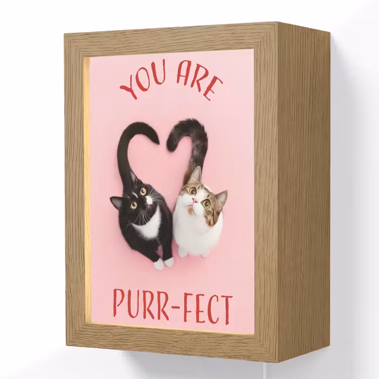 Kat - Hart - Tekst - Valentijn Light Box met kabel (Wandlamp) klein -3d