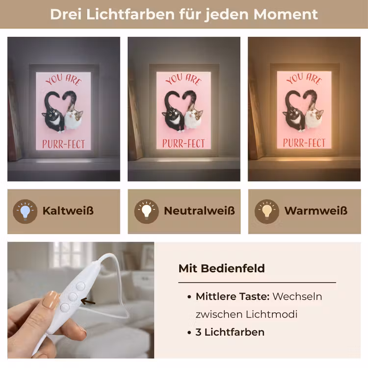 Kat - Hart - Tekst - Valentijn Light Box met kabel (Wandlamp) klein -USP_lichtkleurDE